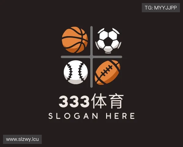 关于333体育